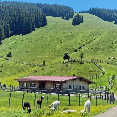 Allgäuer Ausblick Apartment