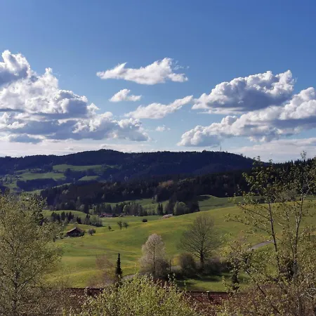 Allgaeuer Ausblick