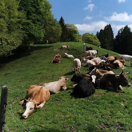 Allgaeuer Ausblick Missen-Wilhams