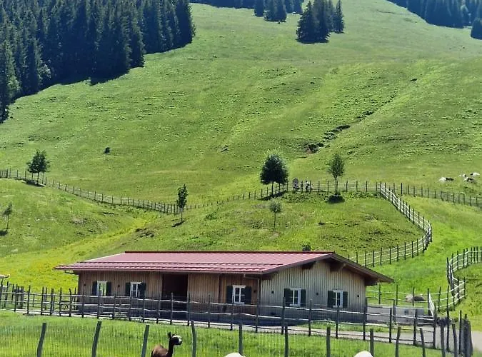 Allgaeuer Ausblick Apartmán